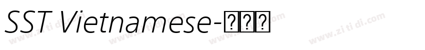 SST Vietnamese字体转换